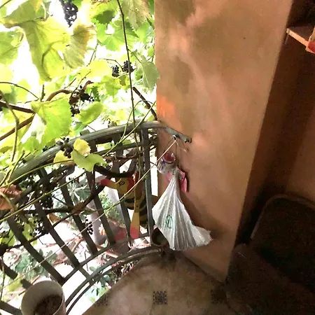 Vojko Holidays Apartmán