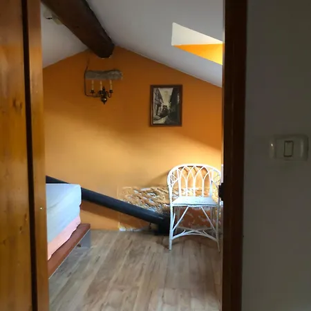 Vojko Holidays * Κόπερ