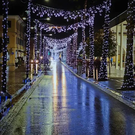 Vojko Holidays Appartement *