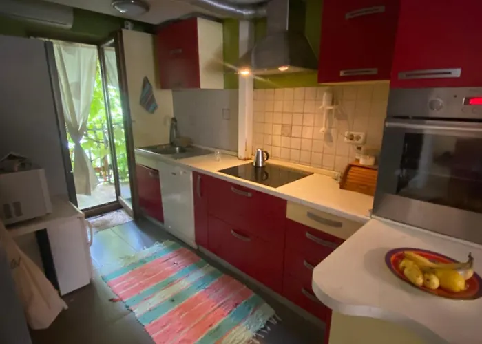 Appartement Vojko Holidays *