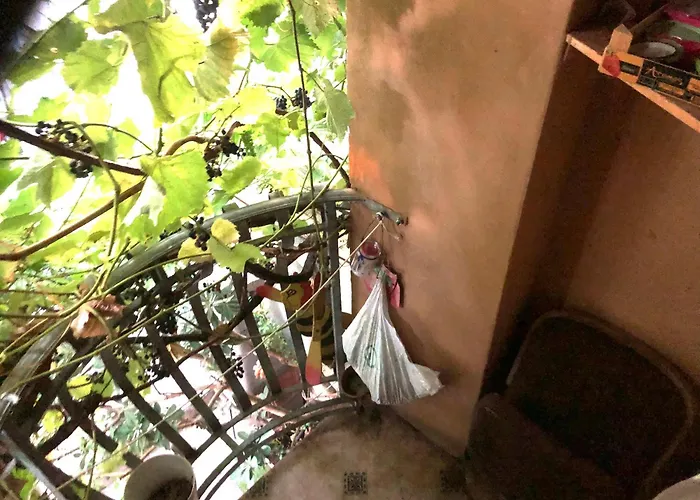 Vojko Holidays 아파트