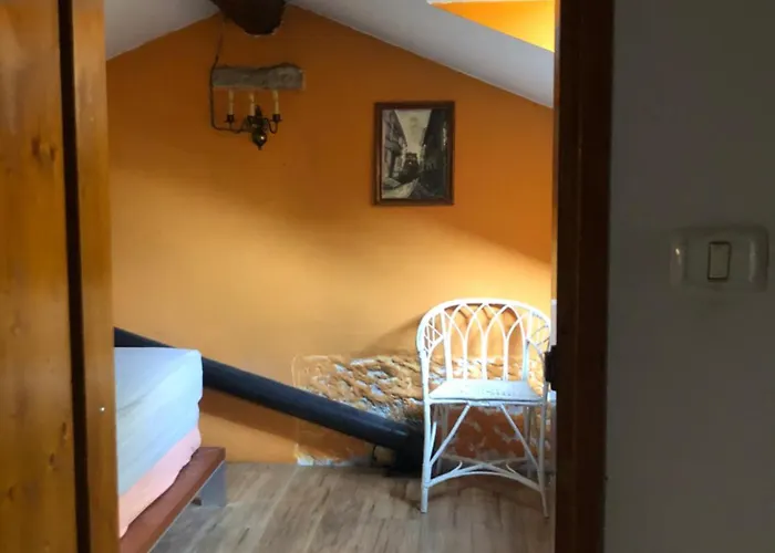 Vojko Holidays * 科佩尔