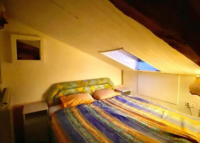 Vojko Holidays * 科佩尔