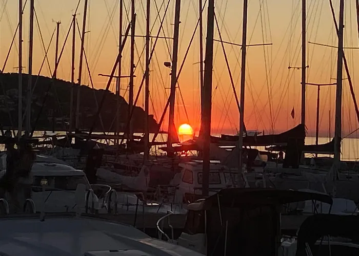 Vojko Holidays Koper